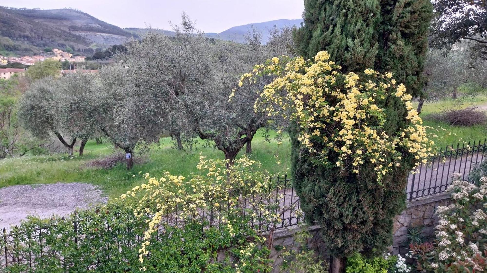 Villa Salviati Prato  Kültér fotó